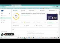 How to check your seo