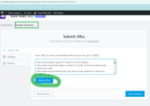 How to Instantly Index My Website in Google